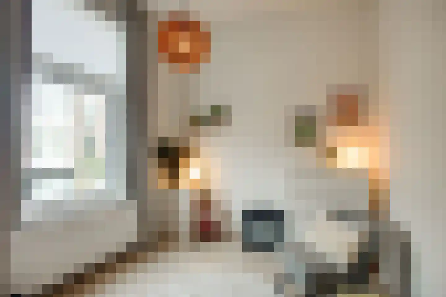 Pijnboomstraat 6 D Den Haag thumbnail 11