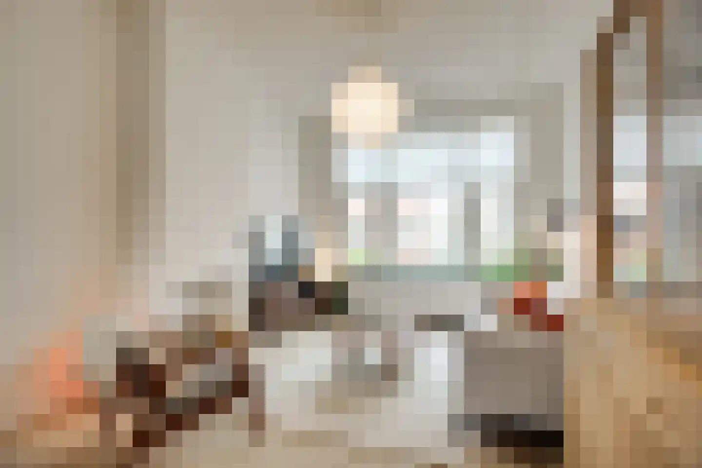 Pijnboomstraat 6 D Den Haag thumbnail 17