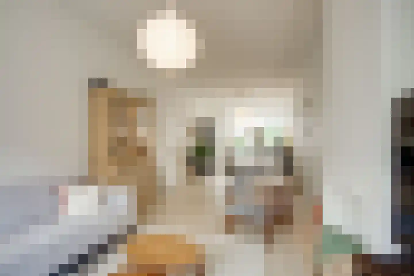 Pijnboomstraat 6 D Den Haag thumbnail 19
