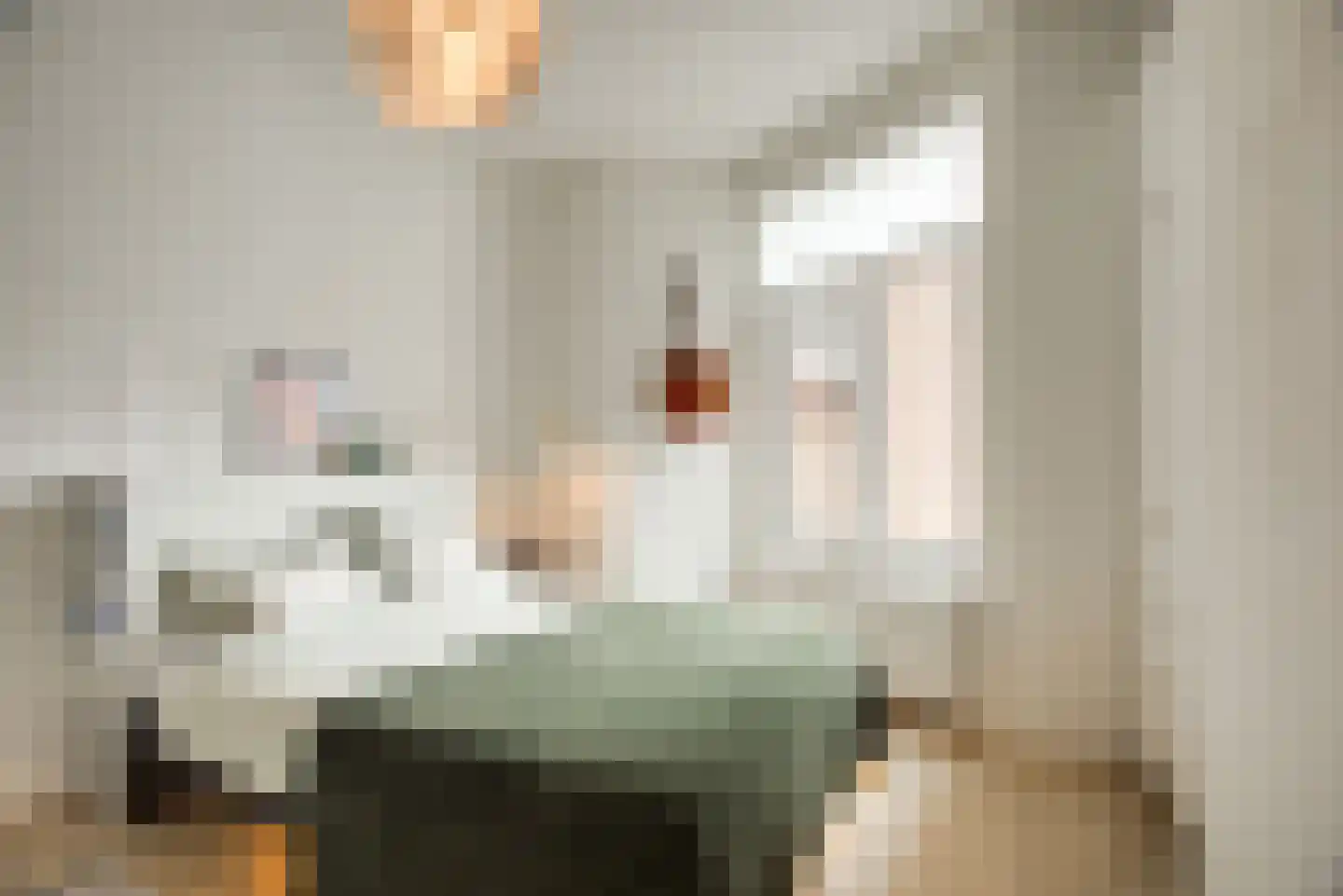Pijnboomstraat 6 D Den Haag thumbnail 24