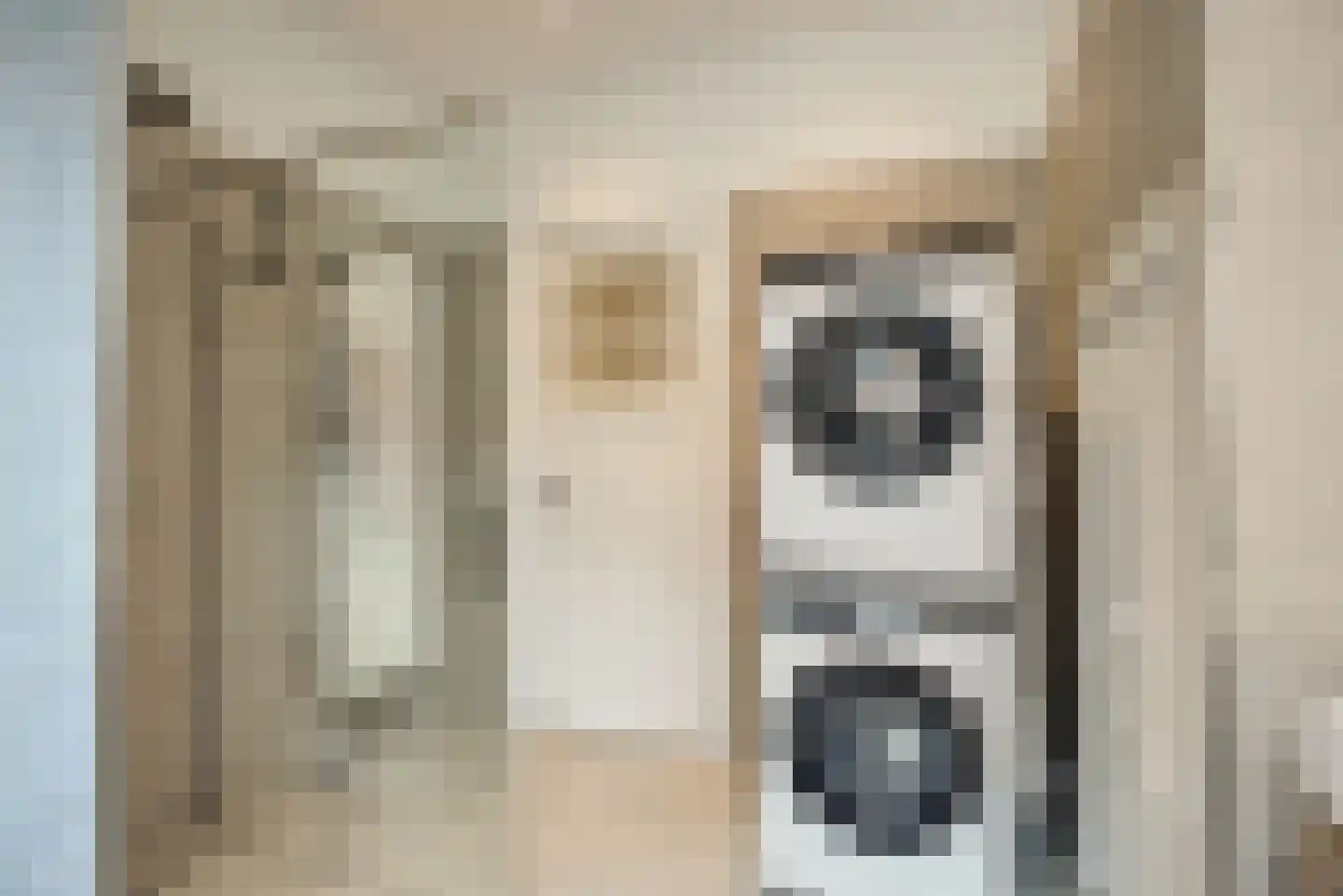 Pijnboomstraat 6 D Den Haag thumbnail 30