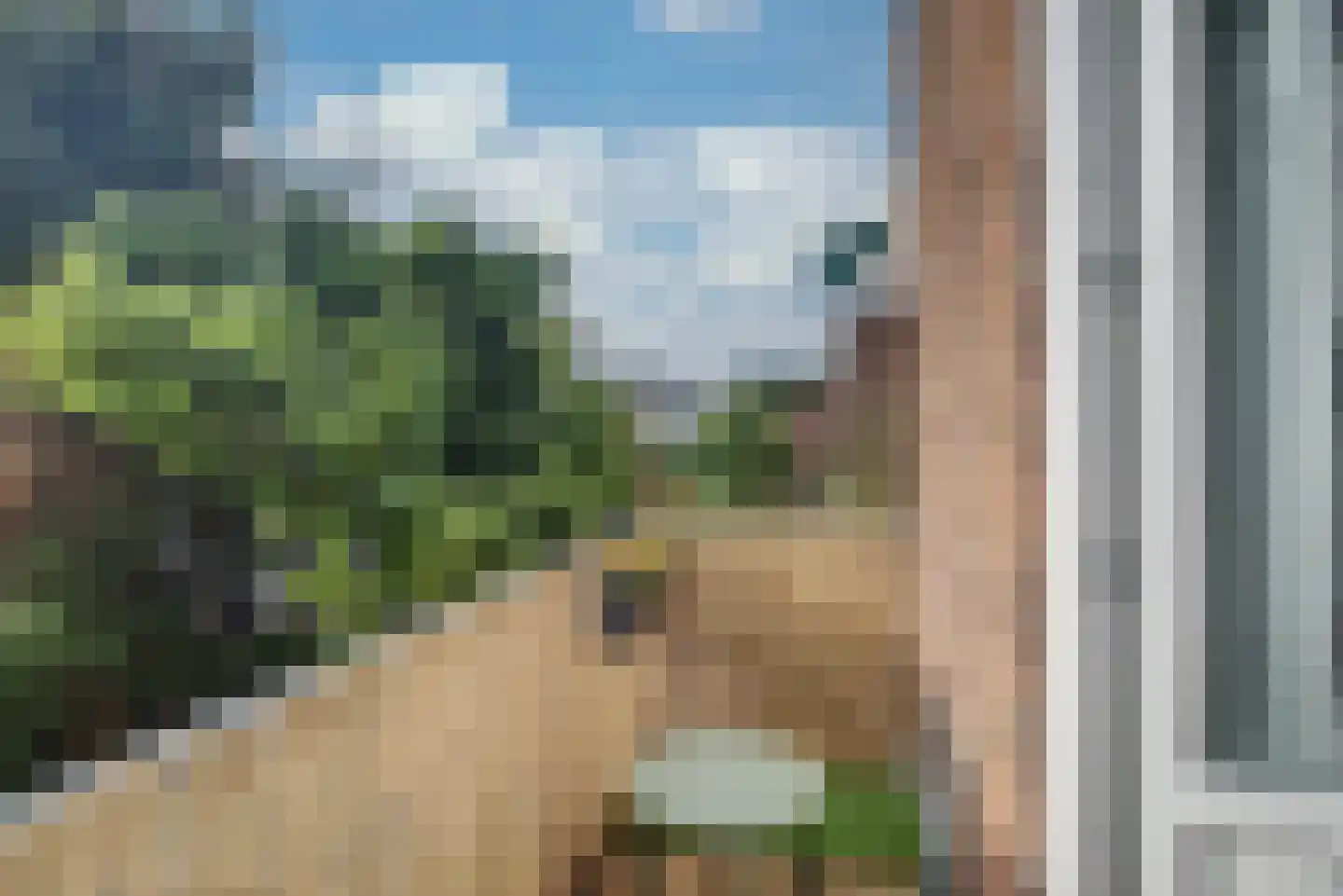 Pijnboomstraat 6 D Den Haag thumbnail 35