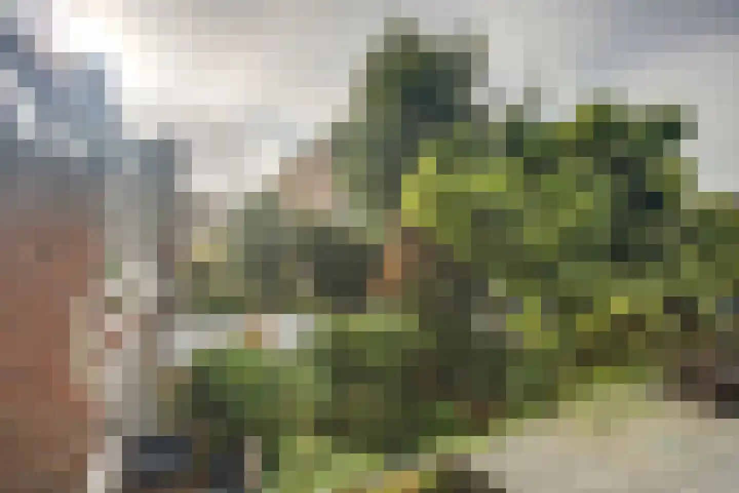 Pijnboomstraat 6 D Den Haag thumbnail 36