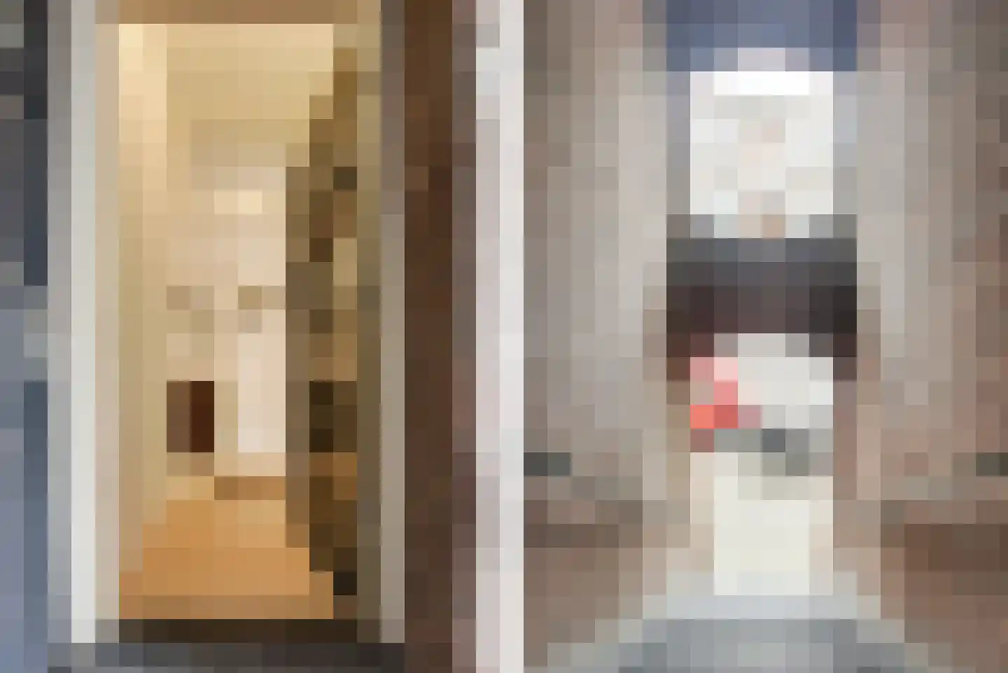 Pijnboomstraat 6 D Den Haag thumbnail 7