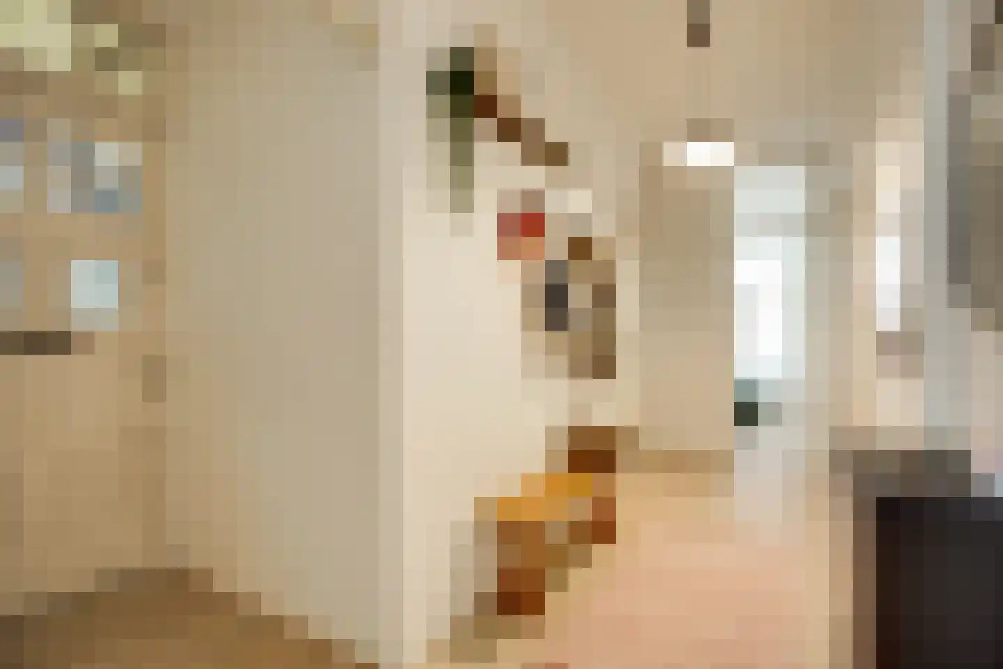 Pijnboomstraat 6 D Den Haag thumbnail 8