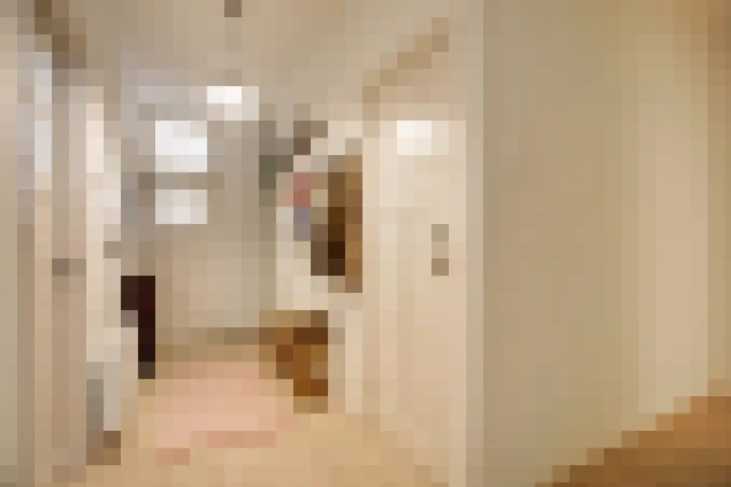 Pijnboomstraat 6 D Den Haag thumbnail 9