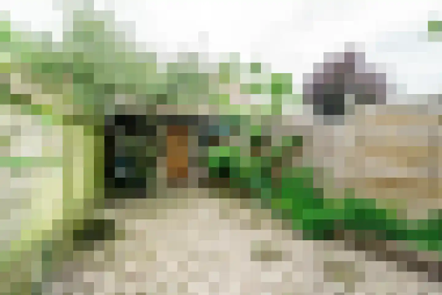 Pijnboomstraat 61 Haarlem thumbnail 23