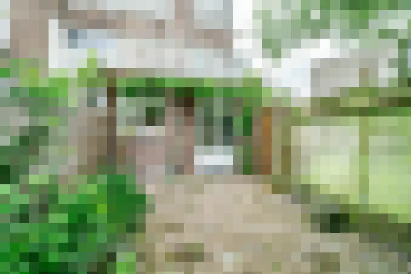 Pijnboomstraat 61 Haarlem thumbnail 24