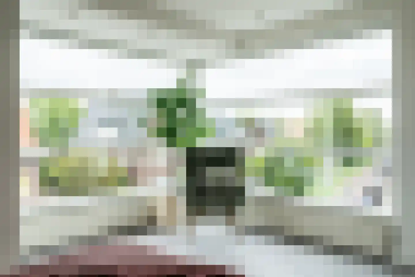 Pijnboomstraat 61 Haarlem thumbnail 39