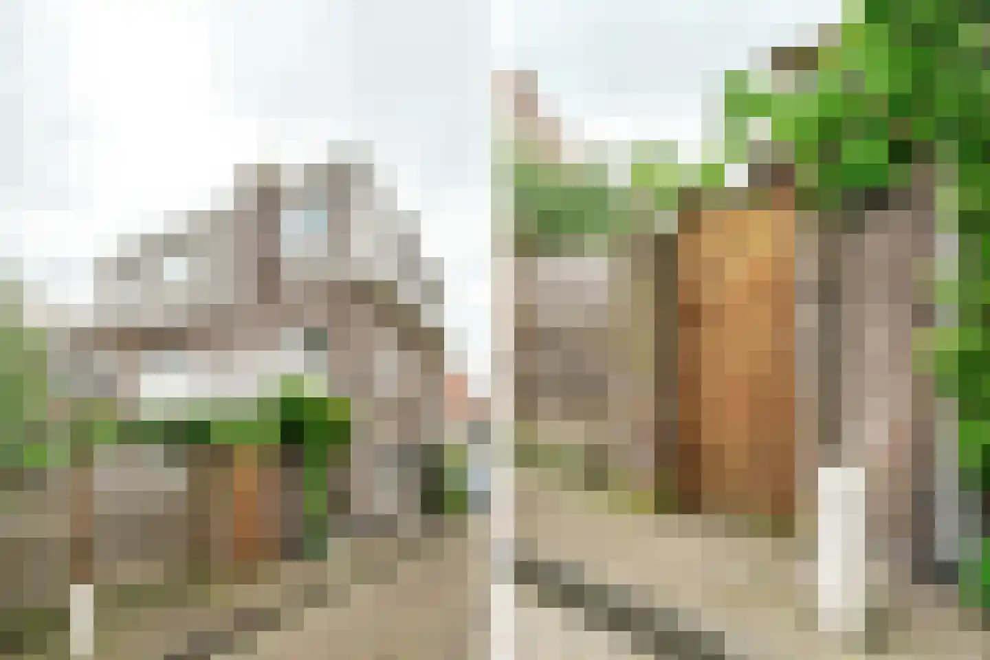 Pijnboomstraat 61 Haarlem thumbnail 46