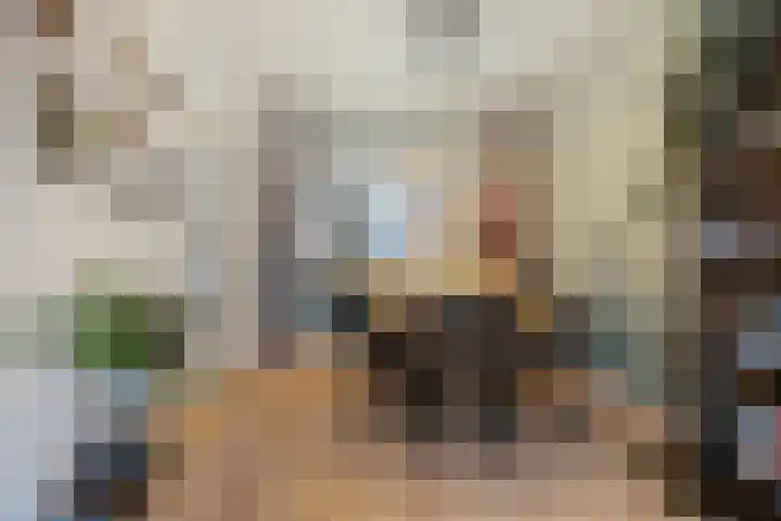 Pijnboomstraat 63 Breda thumbnail 11
