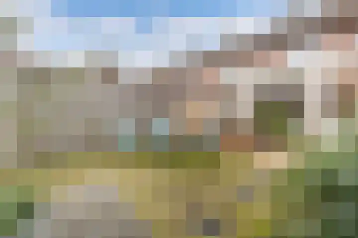Pijnboomstraat 63 Breda thumbnail 33