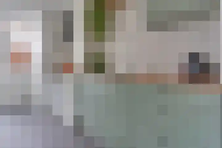 Pijnboomstraat 7 Utrecht thumbnail 10