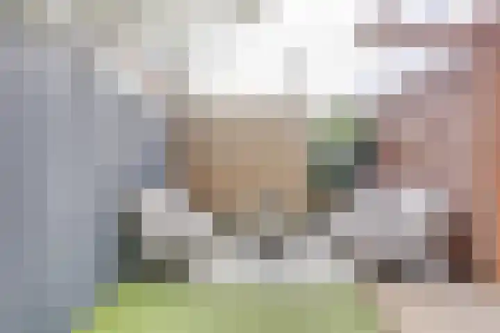 Pijnboomstraat 7 Utrecht thumbnail 22
