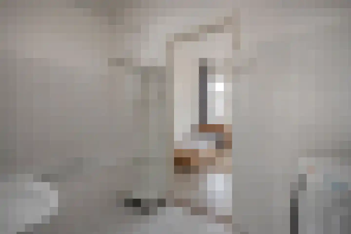 Pijnboomstraat 87 Den Haag thumbnail 27