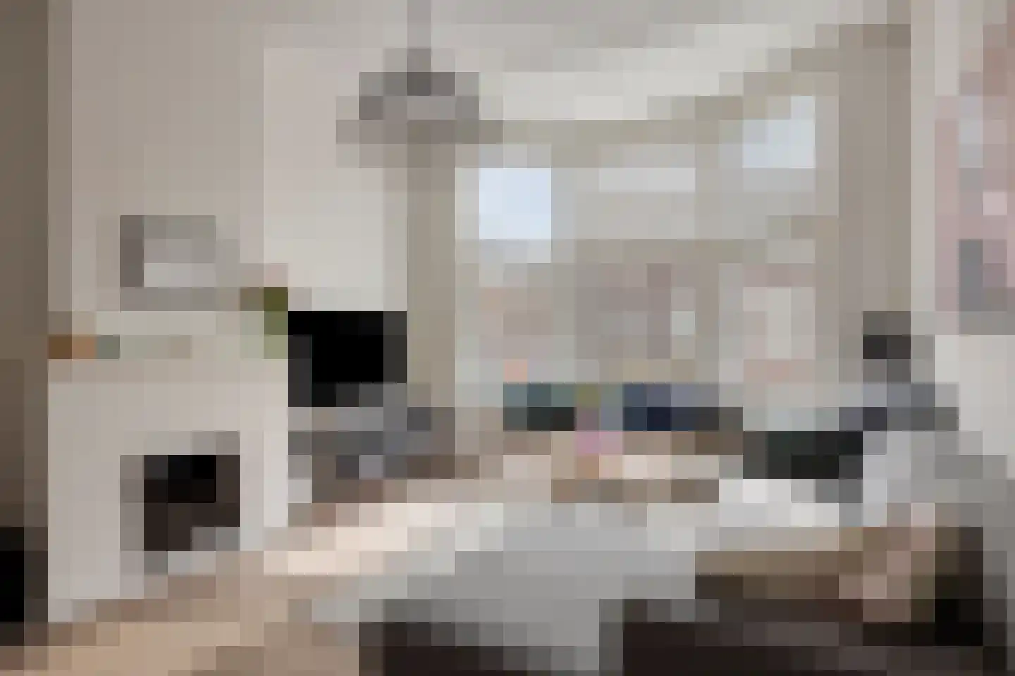 Pijnboomstraat 9 Den Haag thumbnail 10