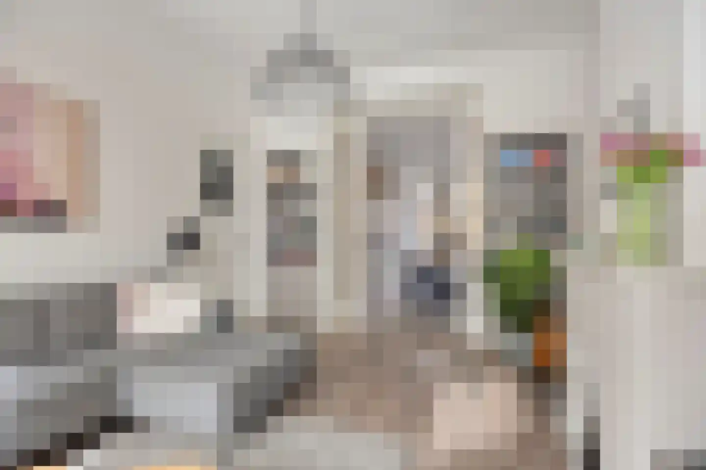 Pijnboomstraat 9 Den Haag thumbnail 11