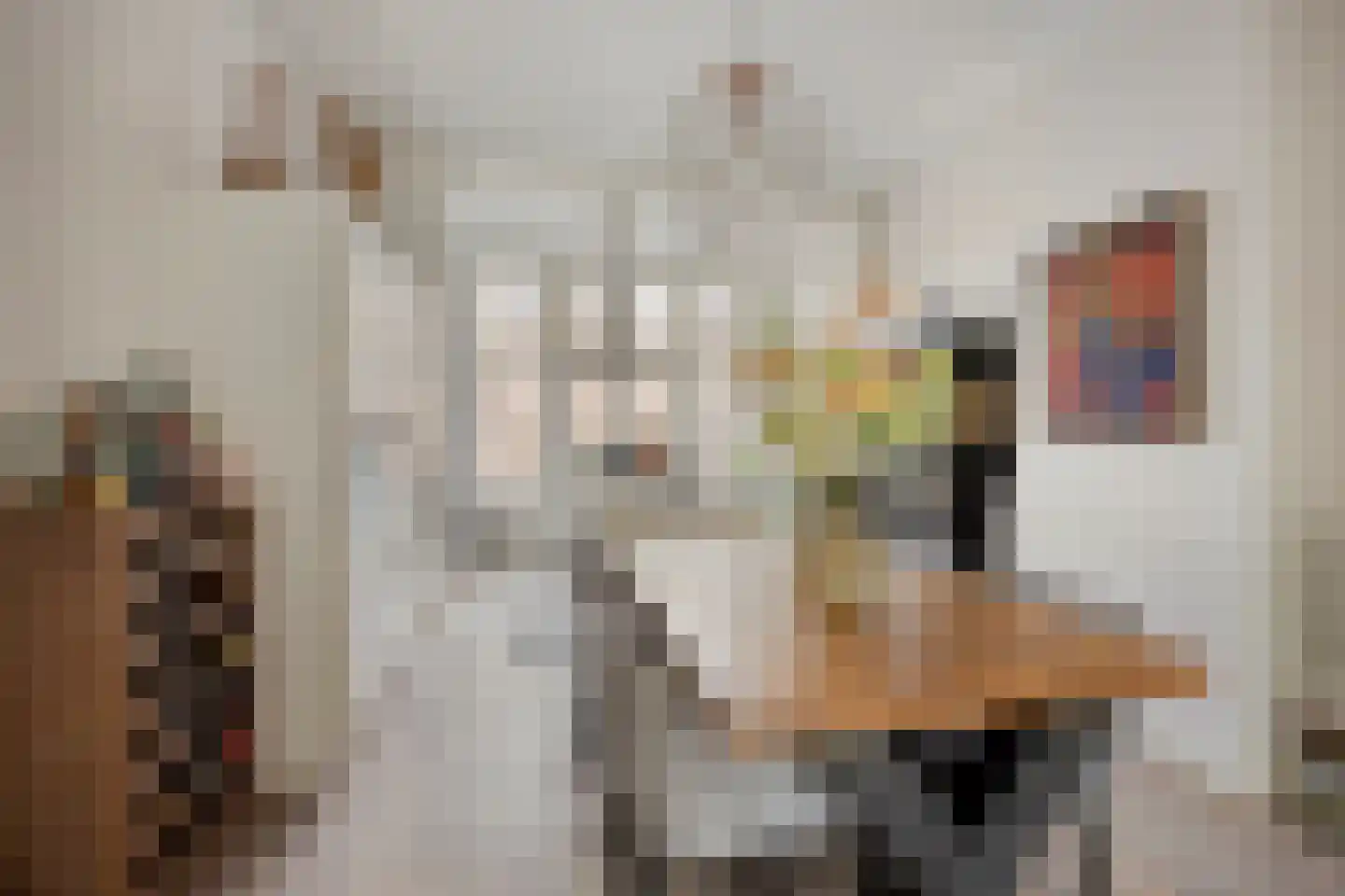 Pijnboomstraat 9 Den Haag thumbnail 16