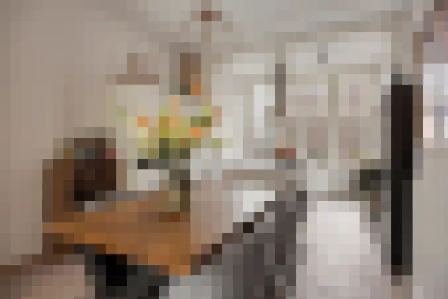 Pijnboomstraat 9 Den Haag thumbnail 17