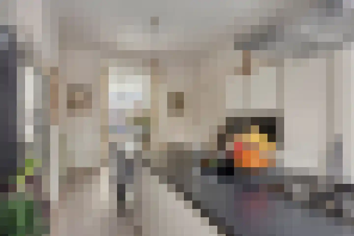 Pijnboomstraat 9 Den Haag thumbnail 18