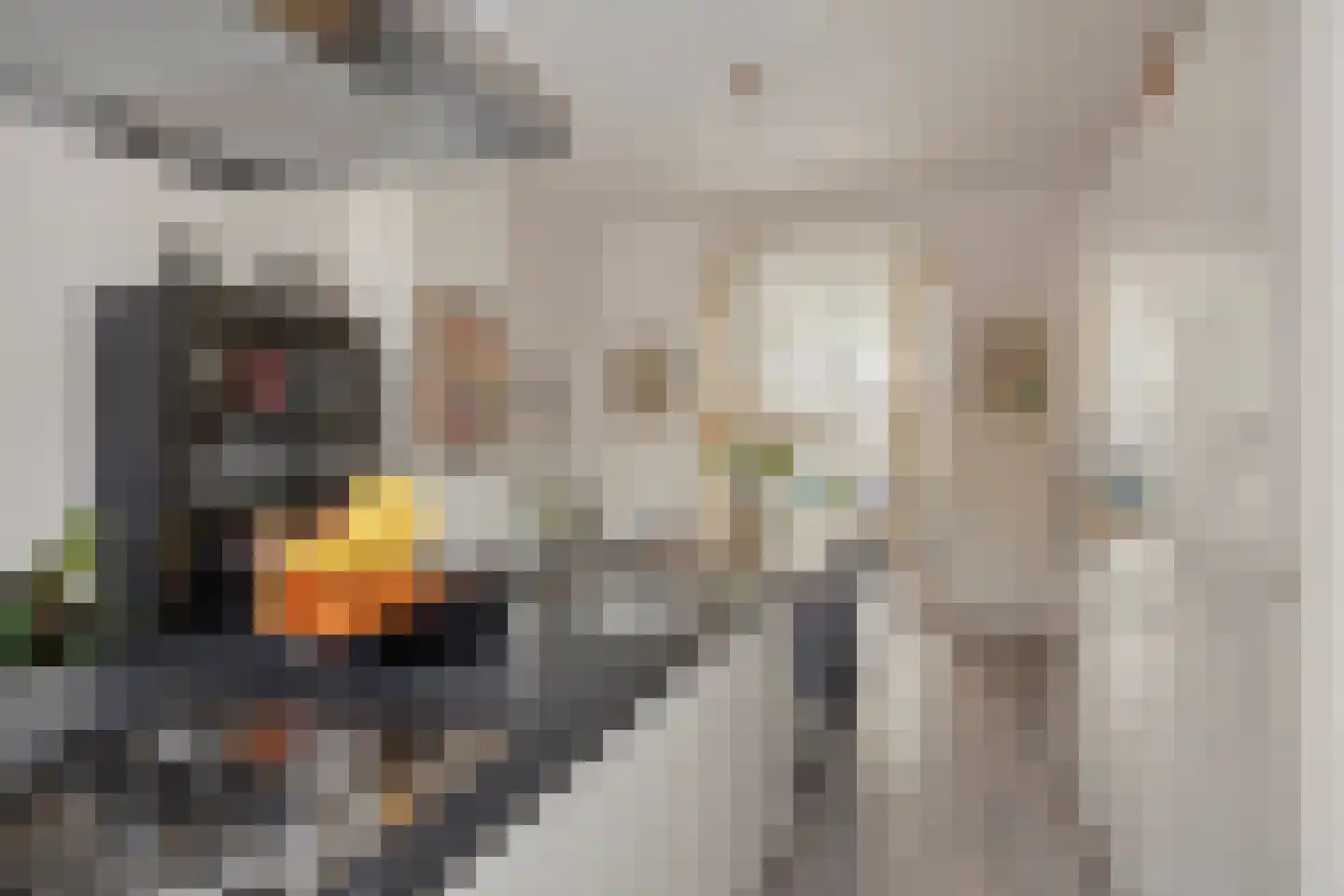 Pijnboomstraat 9 Den Haag thumbnail 19