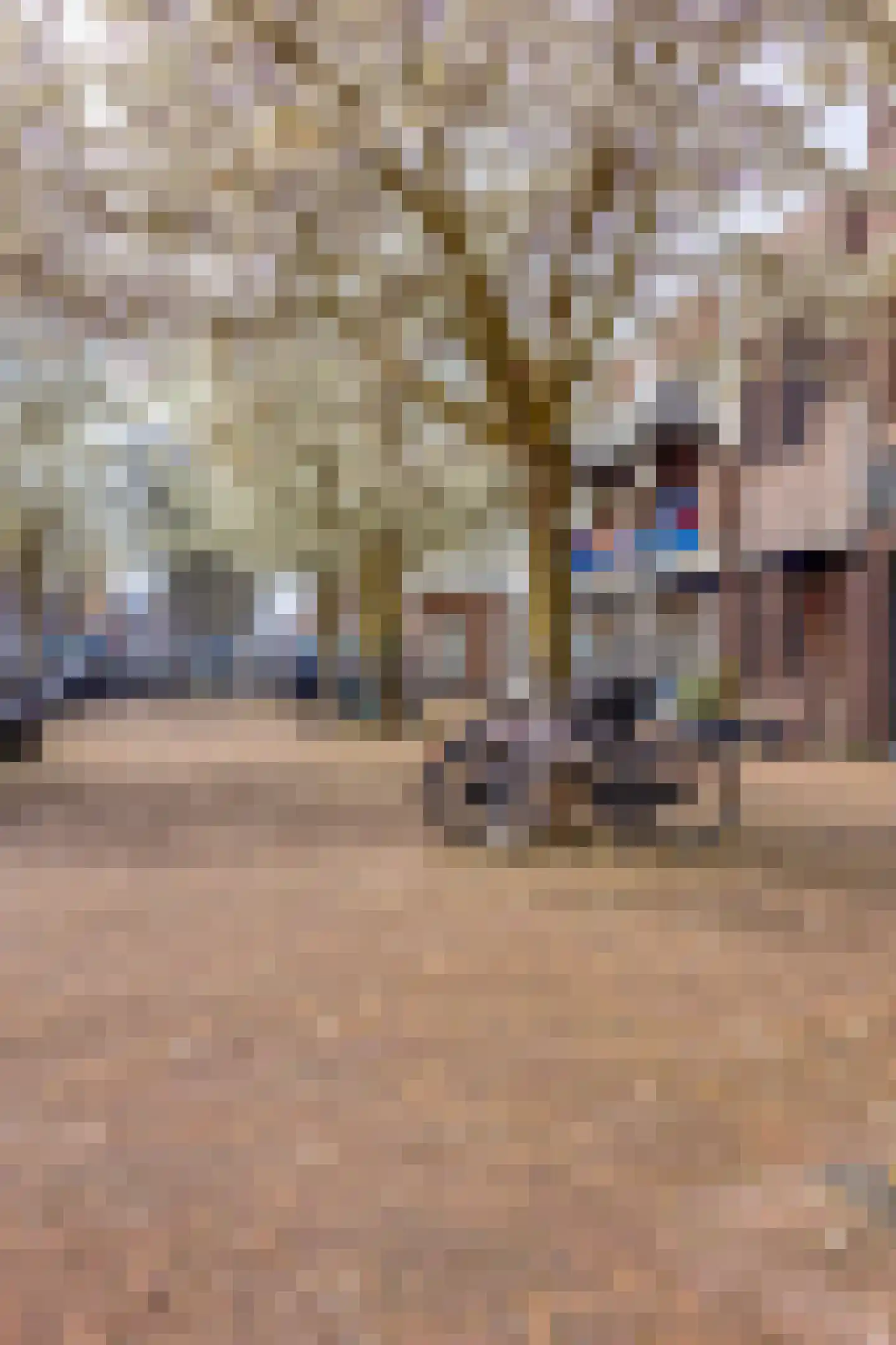 Pijnboomstraat 9 Den Haag thumbnail 35