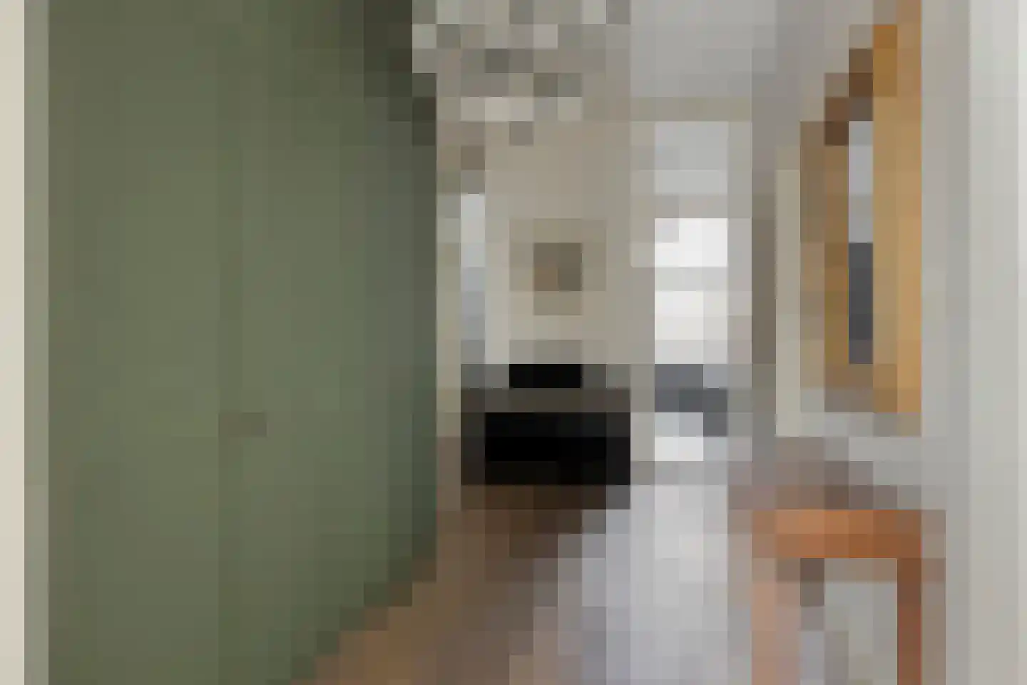 Pijnboomstraat 9 Den Haag thumbnail 5