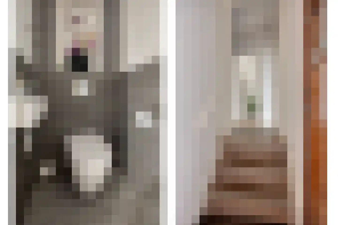 Pijnboomstraat 9 Den Haag thumbnail 6