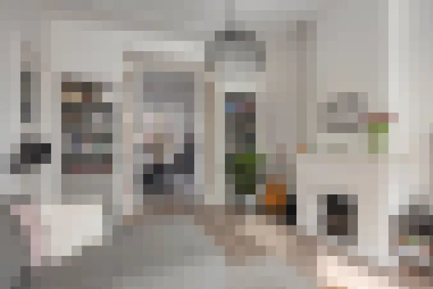 Pijnboomstraat 9 Den Haag thumbnail 9