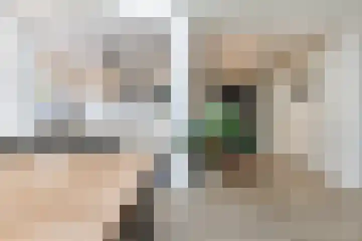Pijnboomstraat 96 Breda thumbnail 18
