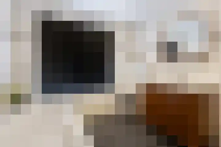 Pijnboomstraat 96 Breda thumbnail 28