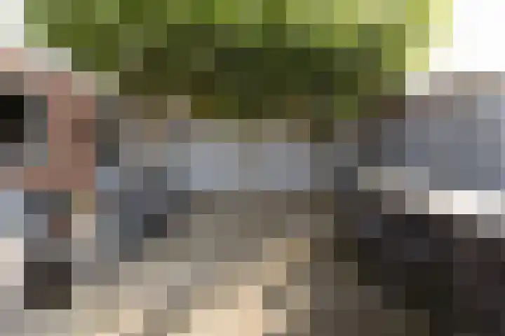 Pijnboomstraat 96 Breda thumbnail 35