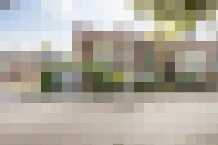 Pijnboomstraat 96 Breda thumbnail 6