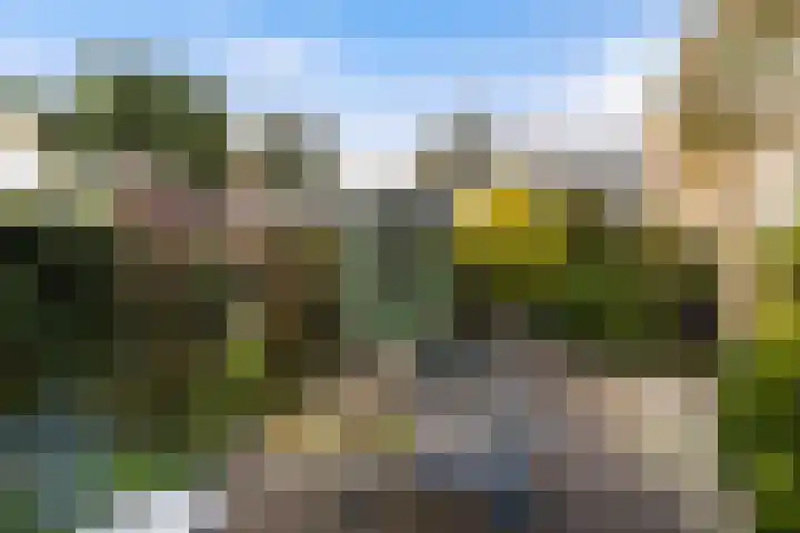 Pijnenburg 13 Dordrecht thumbnail 10