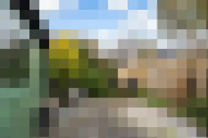 Pijnenburg 13 Dordrecht thumbnail 11