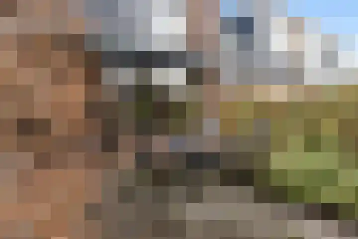 Pijnenburg 13 Dordrecht thumbnail 13
