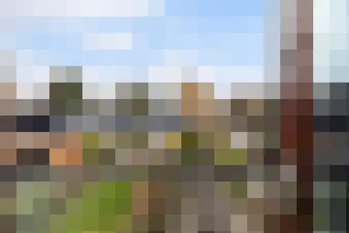 Pijnenburg 13 Dordrecht thumbnail 31