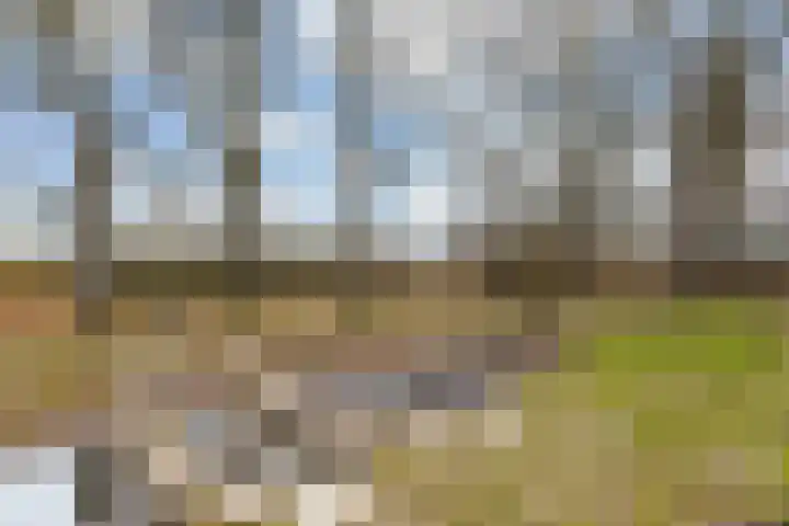 Pijnenburg 13 Dordrecht thumbnail 47