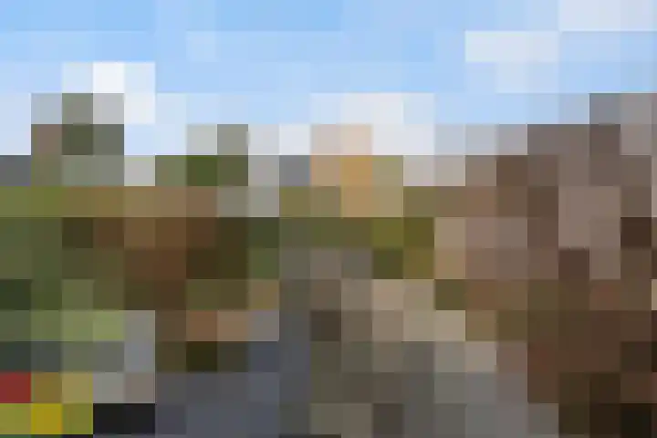 Pijnenburg 13 Dordrecht thumbnail 9