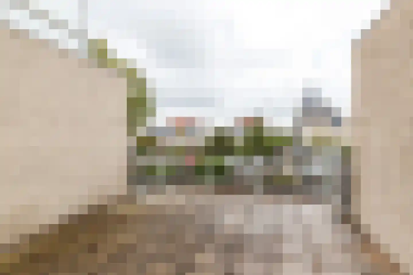 Pijnenburg 17 Vleuten thumbnail 13