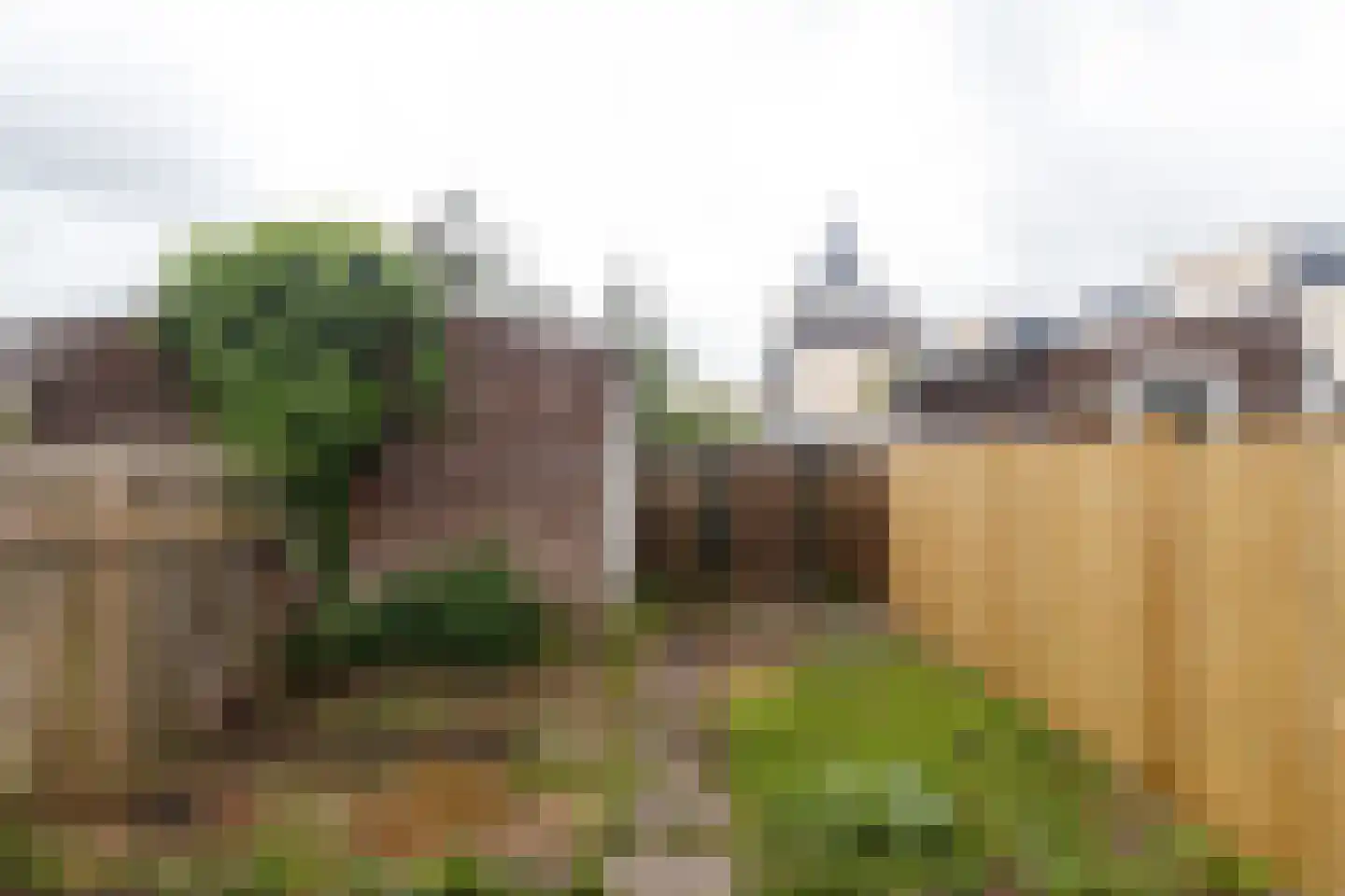 Pijnenburg 17 Vleuten thumbnail 17