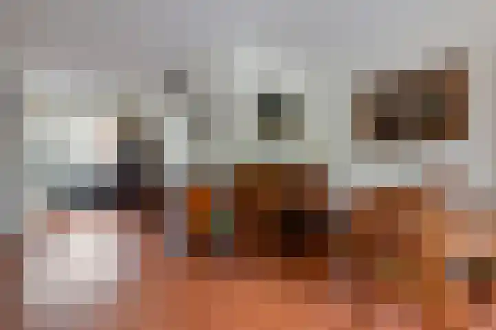 Pijnenburg 26 Vleuten thumbnail 12