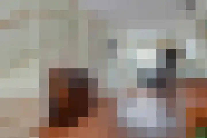 Pijnenburg 26 Vleuten thumbnail 13