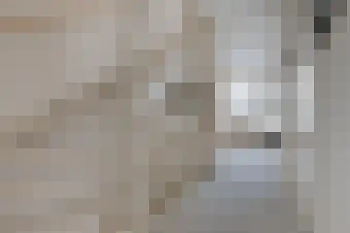 Pijnenburg 26 Vleuten thumbnail 16