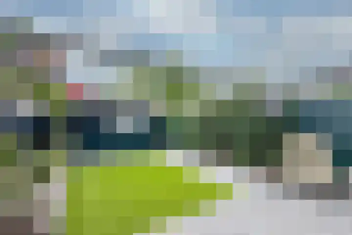Pijnenburg 26 Vleuten thumbnail 30