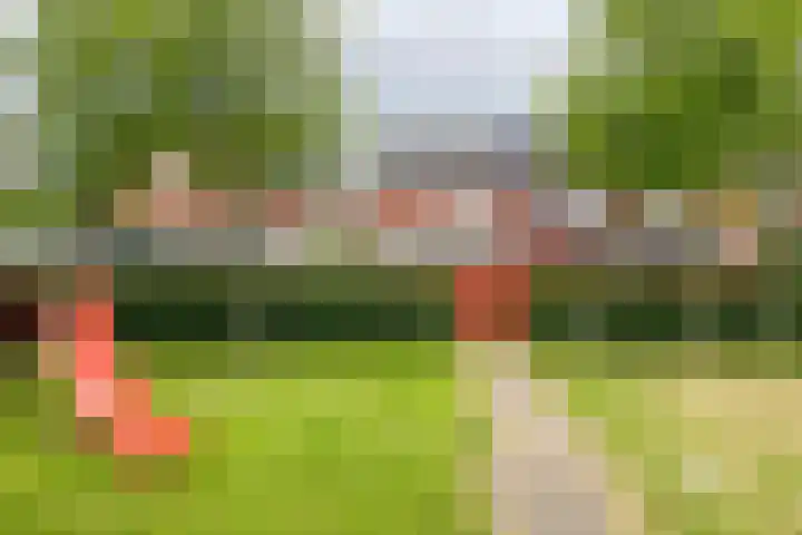 Pijnenburg 26 Vleuten thumbnail 33