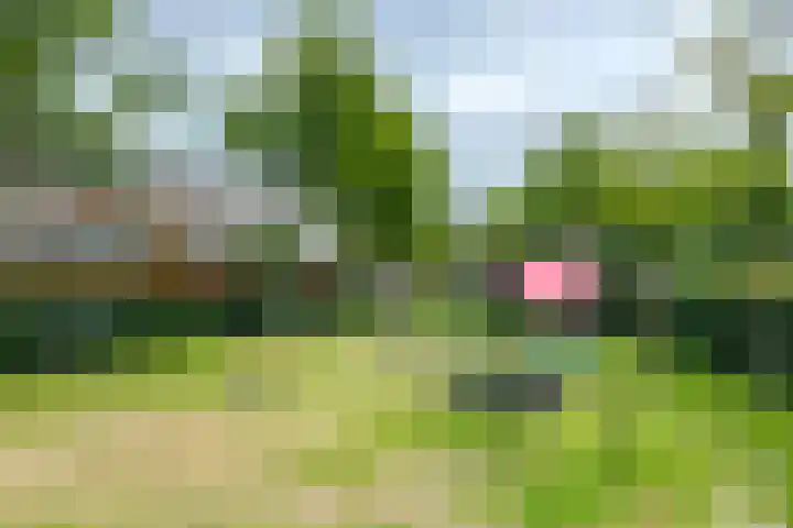 Pijnenburg 26 Vleuten thumbnail 34