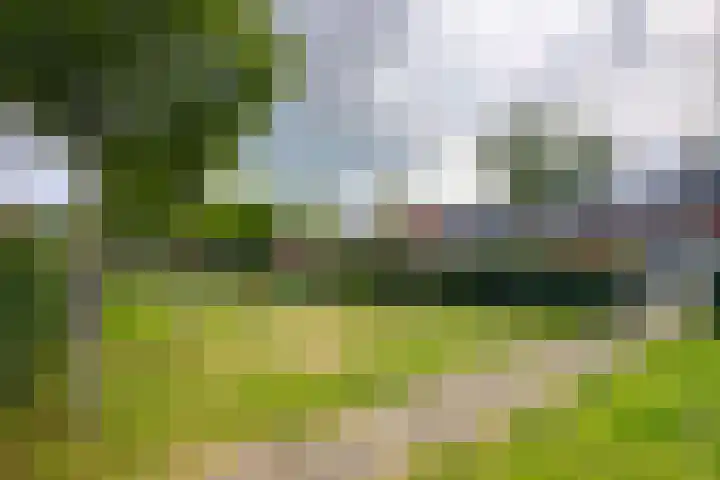 Pijnenburg 26 Vleuten thumbnail 36