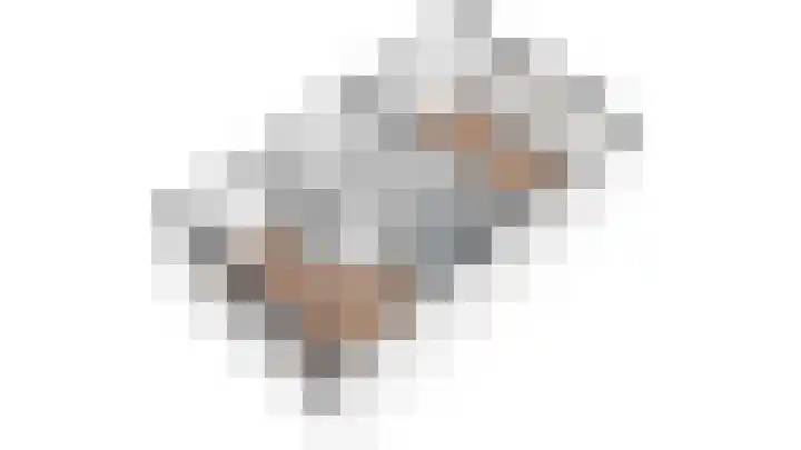 Pijnenburg 26 Vleuten thumbnail 42