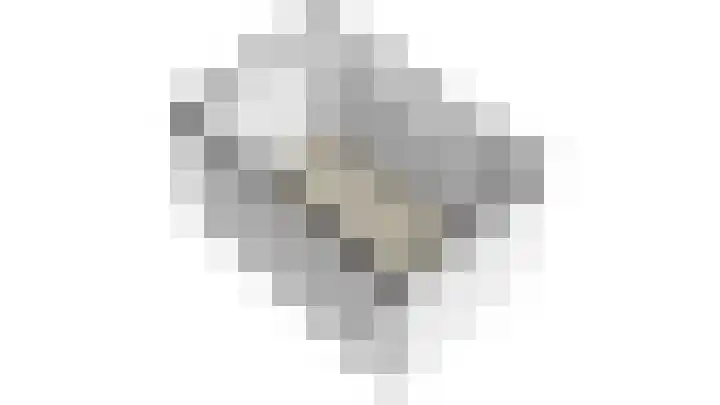 Pijnenburg 26 Vleuten thumbnail 48